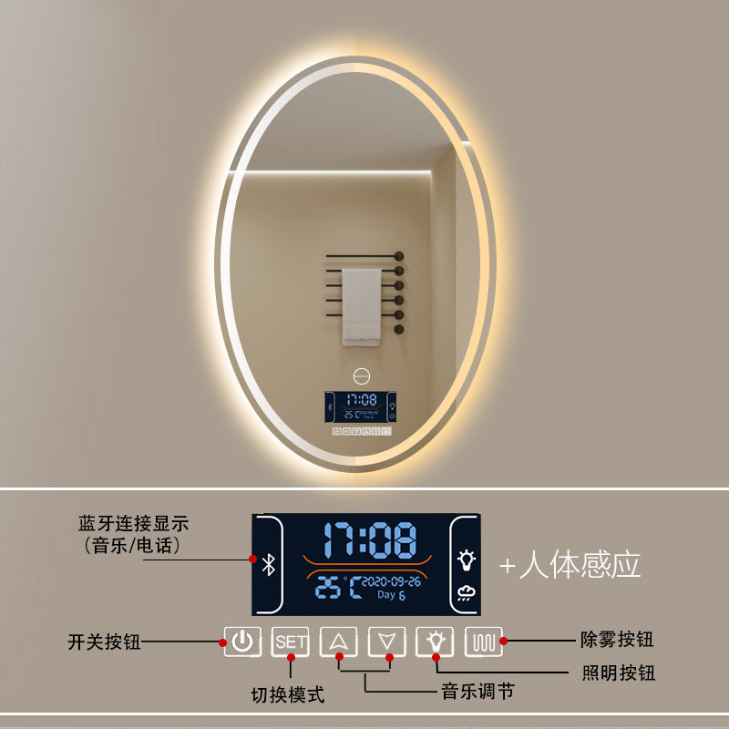 Smart LED Oval Bathroom Mirror with Anti-Fog Lighting