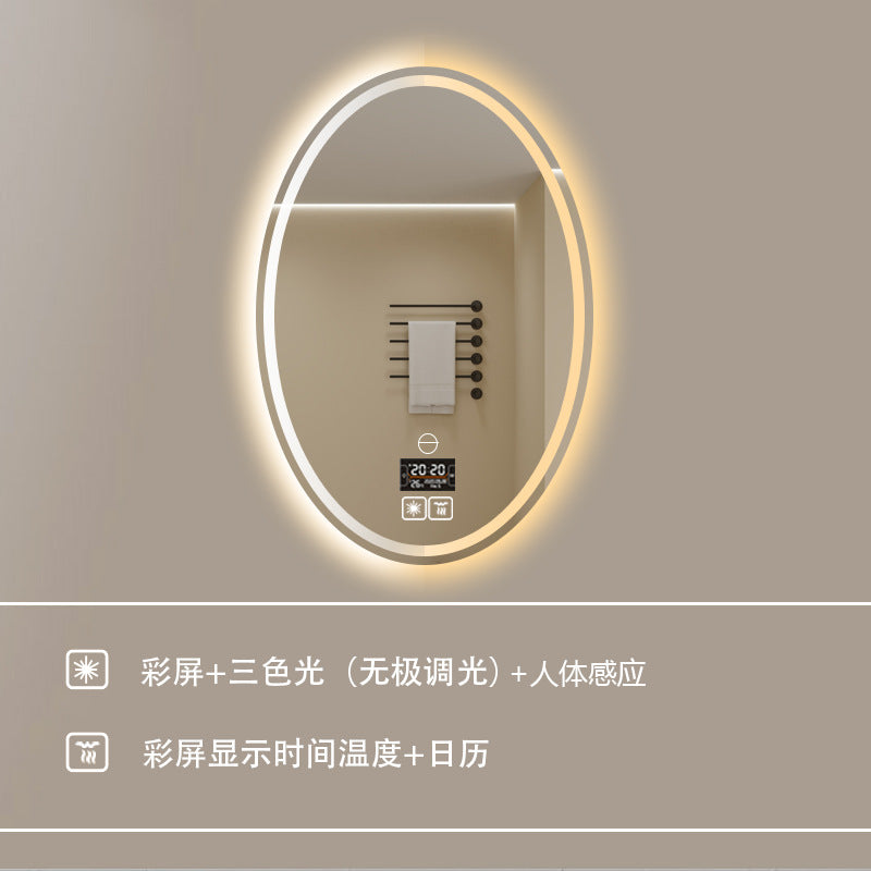 Smart LED Oval Bathroom Mirror with Anti-Fog Lighting