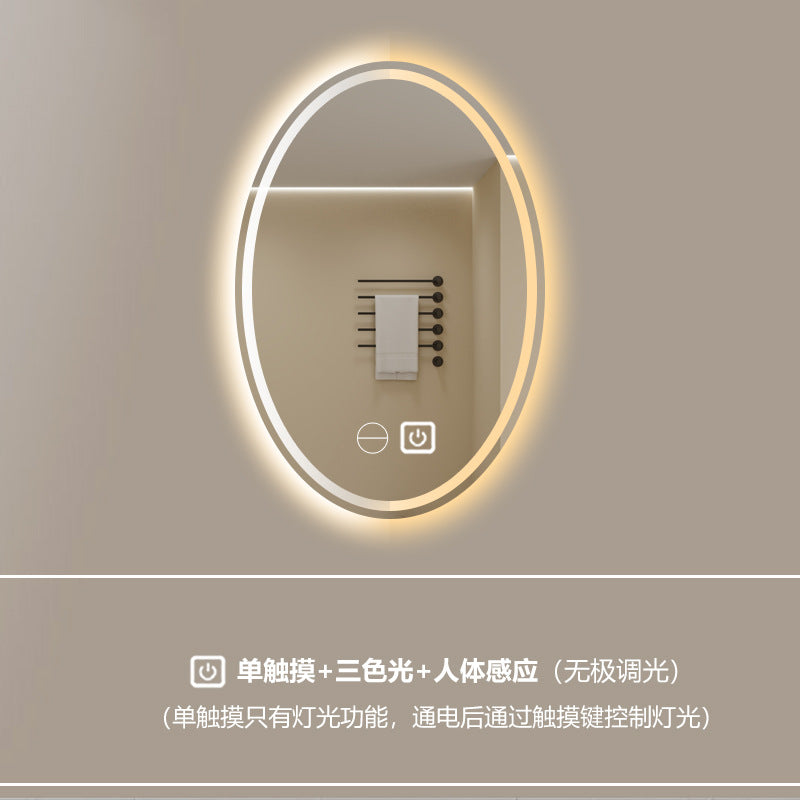 Smart LED Oval Bathroom Mirror with Anti-Fog Lighting