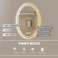 Smart LED Oval Bathroom Mirror with Anti-Fog Lighting